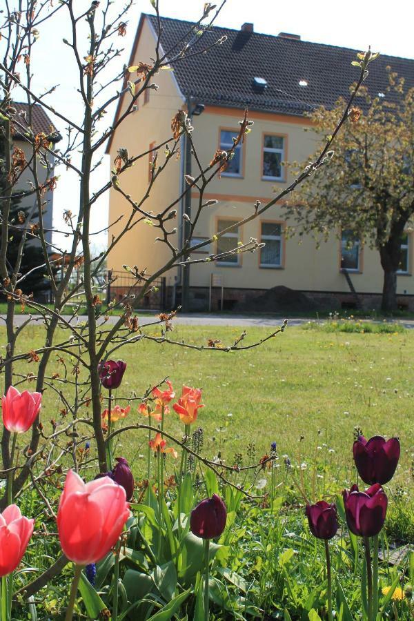 Apartament Flaemingskirsche *