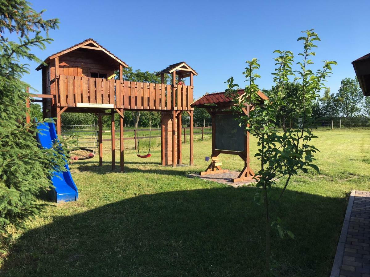Apartament Flaemingskirsche Jüterbog